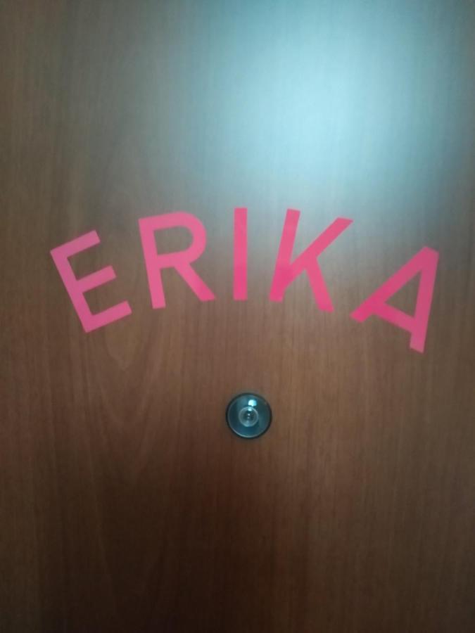 Studio Apartman Erika Ližnjan Dış mekan fotoğraf